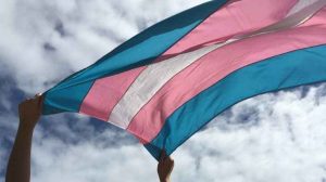 Dossiê da Antra: 122 pessoas trans assassinadas no Brasil em 2024